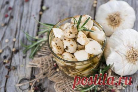 Народные средства от колорадского жука – обрабатываем огород без &quot;химии&quot;