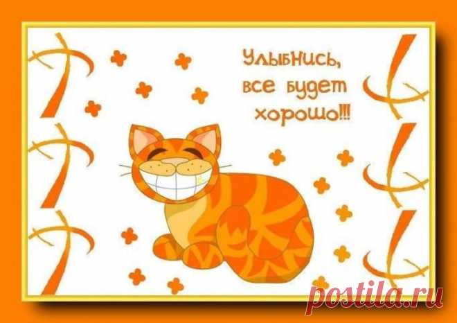 Шутки палаты №6