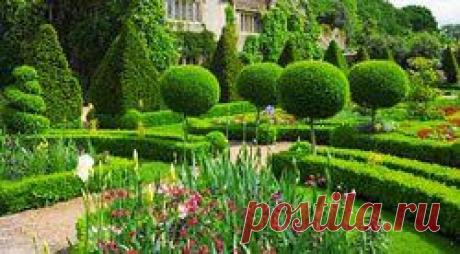 Уксус от сорняков плодожорки ожога деревьев | Применение уксуса