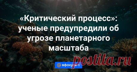 19-7-24--Уменьшение уровня кислорода в воде представляет критическую угрозу для природы и общества на Земле, заявила международная команда ученых в статье для журнала Nature Ecology & Evolution.