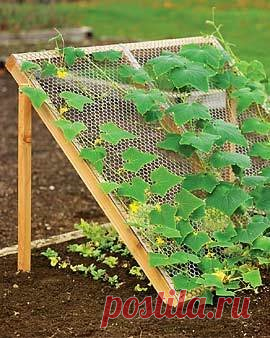 9+ Vertical Gardens :: Vegetable Garden Ideas