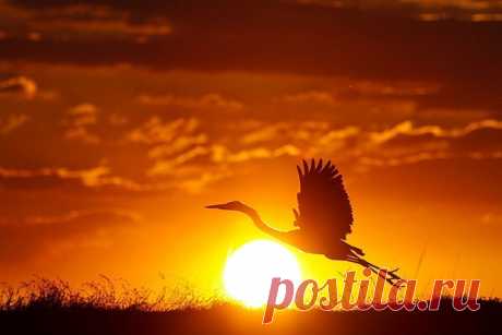 Пусть вечер подарит вам душевный покой и гармонию !