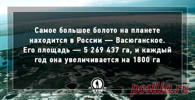 Интересные факты о гидросфере Земли (11 фото)