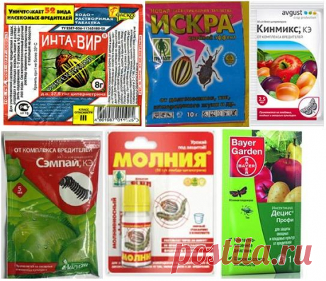 Химические препараты для борьбы с насекомыми-вредителями - Садоводка