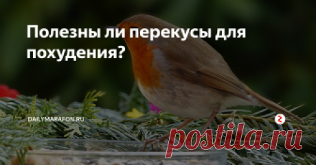 Полезны ли перекусы для похудения? Сколько раз в день вы едите?  Когда вы принимаете решение о том, что пора перекусить – что является причиной? Голод, привычка постоянно что-то жевать, способ успокоиться, следование предписаниям врача или правилам вашей системы питания, возможность порадовать себя чем-то вкусным? Давайте разбираться, когда перекус во благо, а когда во зло.
