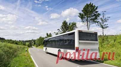 LSM: в Латвии предложили запретить нерегулярные автобусные рейсы в Россию. Министерство сообщения Латвии предложило с 15 октября запретить нерегулярные автобусные рейсы в Россию и Белоруссию. Читать далее