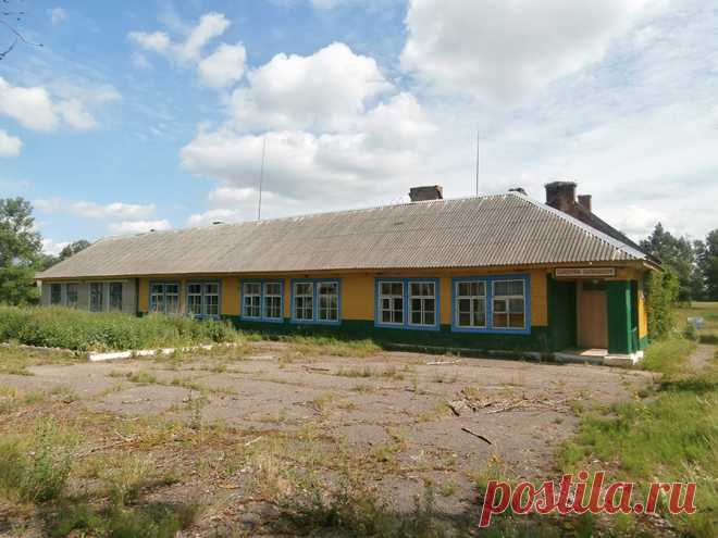 Парное молоко, грязные ноги, хлеб и бабушка. Репортаж из деревни 