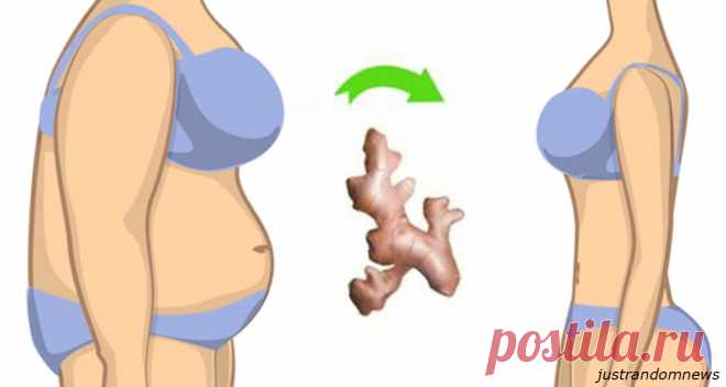 Жир на животе можно буквально сжечь имбирем! Вот что надо делать 
Действенное и доступное средство.

Имбирь используют как в кулинарии, так и в лечебной практике, пишет Pinoy Home Remedies. Это не просто пряность для восточных блюд, но и эффективное лекарственное с…