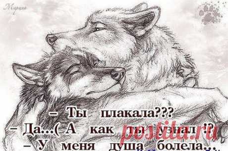 ВЕРНОСТЬ и ЧЕСТНОСТЬ присущи только немногим ...достойным людям! Это слишком дорогой подарок, которого от дешёвых людей ждать не стоит!!!..
