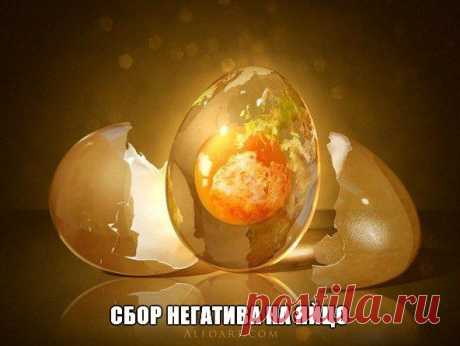 Сбор негатива на яйцо