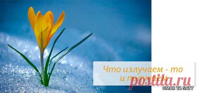 Все возвращается. Добро – добром, зло – злом. Ты всегда получаешь столько, сколько отдаешь. Хочешь больше – отдавай больше. Больше сил, больше времени, больше любви, и все вернется – в самый неожиданный момент.