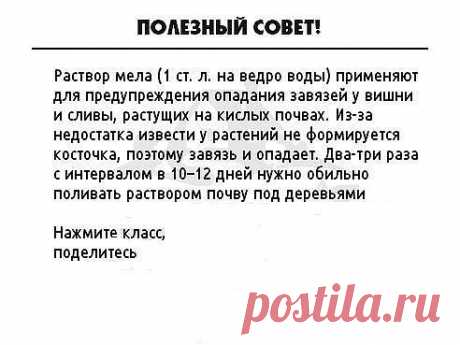 ● Чтобы не потерять эту информацию, жмите &quot;Класс!&quot; и &quot;Поделиться&quot;
