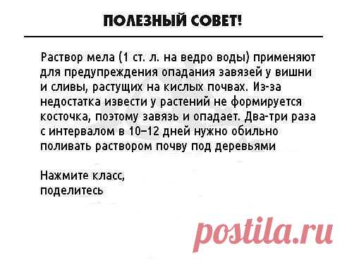 ● Чтобы не потерять эту информацию, жмите "Класс!" и "Поделиться"
