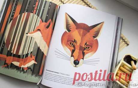 #мифдетство_нашиновинки Много лет иллюстратор и детский писатель Дитер Браун путешествовал по всему миру, изучая внешний вид животных, их повадки и привычки, а потом создал серию выдающихся плакатов. В новую книгу &quot;Животные Севера&quot; ( вошли его лучшие работы, посвященные животному миру Северного полушария. Книга проведет нас по самым необычным местам Северного полушария. Вслед за афалиной мы окунемся в воды океана, вместе с кабаном поищем вкусные корешки на опушке леса, пройдем по…