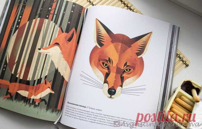 #мифдетство_нашиновинки Много лет иллюстратор и детский писатель Дитер Браун путешествовал по всему миру, изучая внешний вид животных, их повадки и привычки, а потом создал серию выдающихся плакатов. В новую книгу "Животные Севера" ( вошли его лучшие работы, посвященные животному миру Северного полушария. Книга проведет нас по самым необычным местам Северного полушария. Вслед за афалиной мы окунемся в воды океана, вместе с кабаном поищем вкусные корешки на опушке леса, пройдем по…