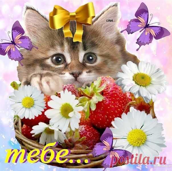 Уведомления