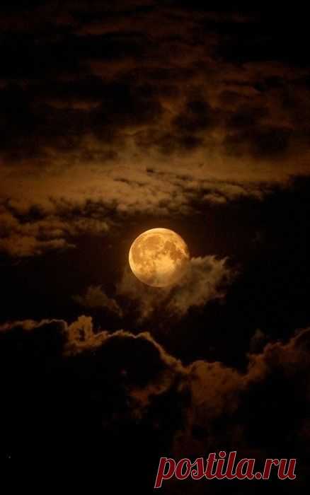 (2) Pinterest