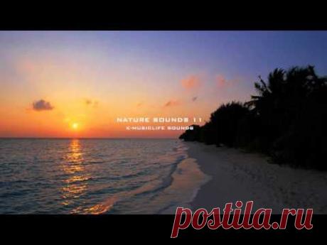 Nature Sound 11 - THE MOST RELAXING SOUNDS - - YouTube