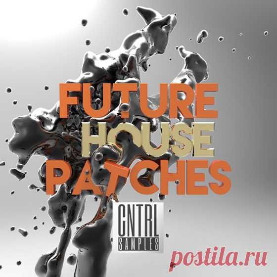 CNTRL Samples Future House Patches MiDi SPiRE-AUDIOSTRiKE  | 6 MB

100+ ultimate melodic spire patches for future house domination: If you’re looking for the sounds of EDX, Don Diablo Mr. Belt & Wezol and Oliver Heldens, then is this is the only pack you need.