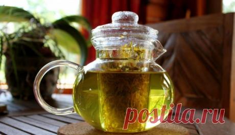 Чай из этой травы, может спасти вашу жизнь. Убивает до 96% клеток лейкемии, всего за 48 часов! - Книга рецептов