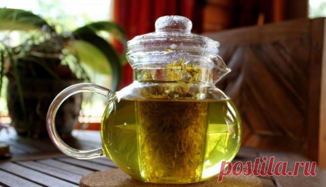 Чай из этой травы, может спасти вашу жизнь. Убивает до 96% клеток лейкемии, всего за 48 часов! - Книга рецептов