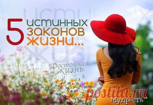5 истинных законов жизни

1) Не нужно навязываться людям, и ты поймешь, нуждаются ли они в тебе.
2) Не нужно верить словам - в наше время они ничего не стоят.
3) Цени тех, кто тобой дорожит и не держи тех, кому ты не нужен.
4) Не верь отговоркам - если у человека есть желание, он сделает это при любых обстоятельствах.
5) Не суди людей по себе, они не способны ради тебя сделать то, на что ты готов был ради них.