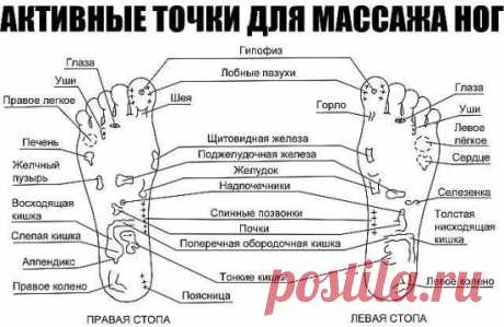 АКТИВНЫЕ ТОЧКИ ДЛЯ МАССАЖА НОГ
1. Если массировать кончики пальцев ног, можно избавиться от головной боли и простимулировать деятельность головного мозга.
2. Область вокруг больших пальцев ног поможет справиться с болью в шее — нужно лишь активно ее помассировать.
3. Массаж области в центре стопы помогает справиться с болезнями легких, облегчает патологическое состояние при астме, снимает одышку.
4. Разминая зону чуть ниже большого пальца на стопе, выпуклую подушечку, ты позаботишься о всей
