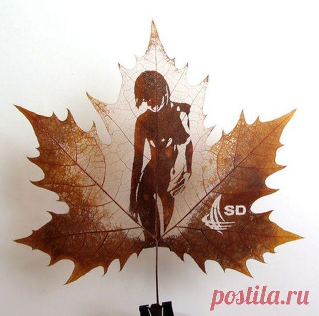 Картины на листьях своими руками - Своими руками