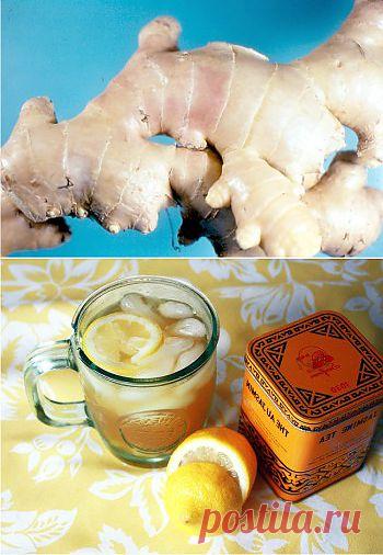 Вся правда про имбирь