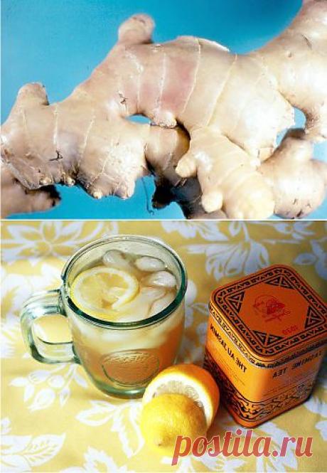 Вся правда про имбирь