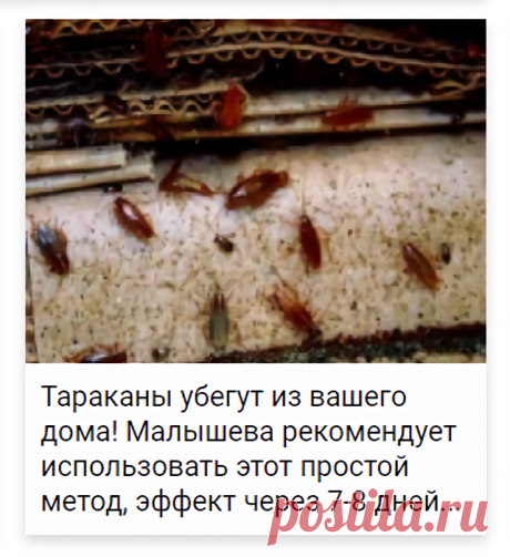 Тараканы убегут из вашего дома! Малышева рекомендует использовать этот простой метод, эффект через 7-8 дней
Его отличительной чертой является полное отсутствие эффекта привыкания и &quot;зон тишины&quot;, в которых вредители могли бы укрыться от звукового и ультразвукового излучения. Одинаково эффективно действует на тараканов, клопов, комаров, муравьёв, мух, мышей, крыс.
мода зима 2020-2021