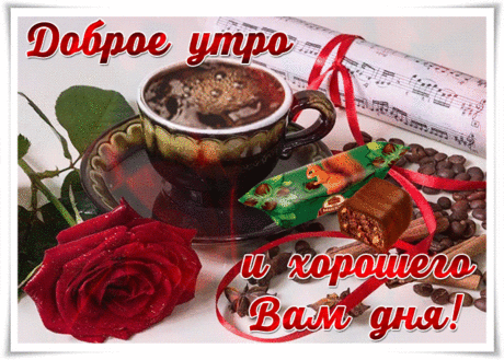 Открытка доброе утро и хорошего вам дня