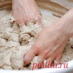 Из хмеля и картофеля. Как приготовить дрожжи и закваски в домашних условиях