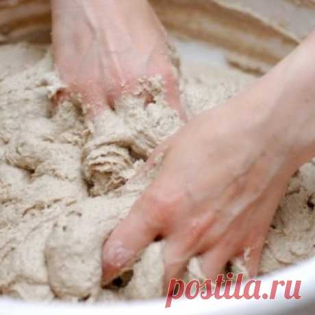Из хмеля и картофеля. Как приготовить дрожжи и закваски в домашних условиях
