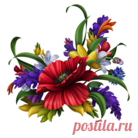 цветочный декор,элементы для творчества png.
