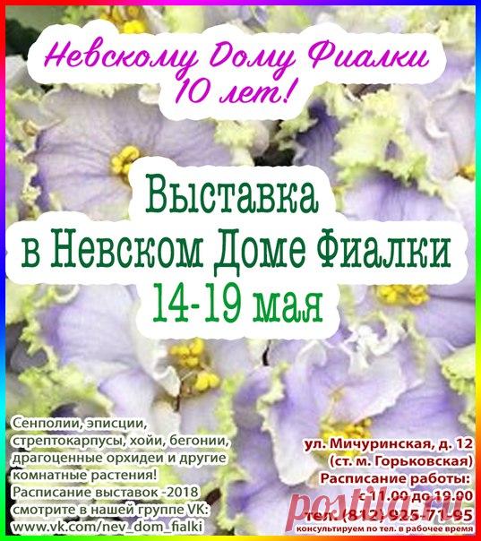 Дорогие друзья!!! У нас ЮБИЛЕЙНАЯ ВЫСТАВКА !!! Нам 10 лет!!! С 14 по 19 мая двери Невского Дома Фиалки открыты для всех ! Мы, коллекционеры комнатных растений, стараемся каждый месяц представить Вам красивоцветущие растения. Приходите за красотой и хорошим настроением к нам, в Невский Дом Фиалки, сделайте подарок себе для души! Для Вас фиалки, стрептокарпусы, колумнеи, эписции, ахименесы , колерии, эсхинантусы, хойи, бальзамины , фуксии, пеларгонии, бегонии, а так же экзотические растения во…