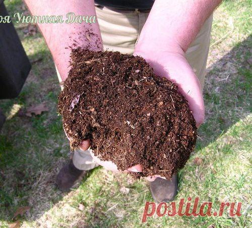 Как правильно приготовить компост