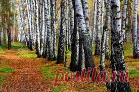 фото осень на рабочий стол - Поиск в Google