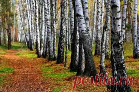 фото осень на рабочий стол - Поиск в Google