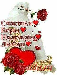 А просто так любите - ни за что! -
Тепло души не градусником мерить, -
Обычный человек - не божество,
Но станет, если сильно в него верить.
Не купленной любовью за гроши,
Не за смазливость в профиль и анфас -
За близость верной родственной души,-
И дай вам Бог, чтоб кто-то верил в вас!

 Витас — Любите пока любится