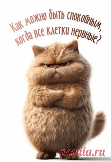Картинка Как можно быть спокойным? прикольные картинки открытки с юмором на каждый день