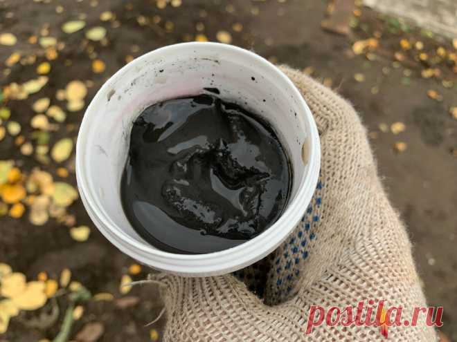 Больше никакого садового вара. Нашел недорогое проф.средство для замазки ран после обрезки деревьев. Лучше не встречал | Строю для себя | Яндекс Дзен