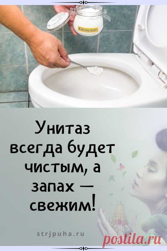 Унитаз всегда будет чистым, а запах свежим!