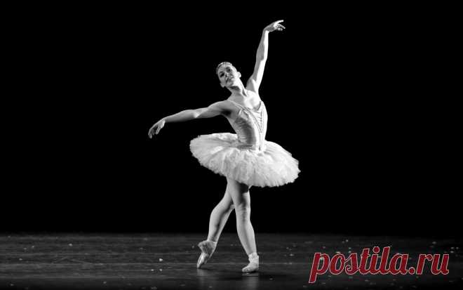 балерина фото: 19 тыс изображений найдено в Яндекс.Картинках