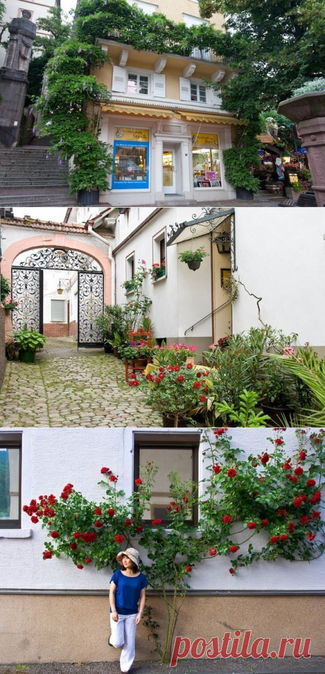 Настроение Баден-Бадена — Вокруг Мира