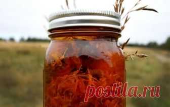 Вот так настойка! Подруга поделилась рецептом настойки-скорой помощи. 100% эффект! - CELEBNIK. RU Я много лет пользуюсь целебной силой календулы. На себе почувствовал, какое действие...