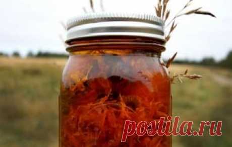 Вот так настойка! Подруга поделилась рецептом настойки-скорой помощи. 100% эффект! - CELEBNIK. RU Я много лет пользуюсь целебной силой календулы. На себе почувствовал, какое действие...