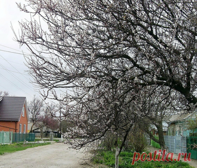«В городе Приморско-Ахтарске» — карточка от пользователя Сергей Анатольевич в Яндекс.Избранном