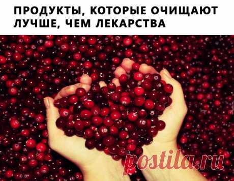 7 ПРОДУКТОВ, КОТОРЫЕ ОЧИЩАЮТ ОРГАНИЗМ ЛУЧШЕ, ЧЕМ ЛЮБЫЕ ЛЕКАРСТВА