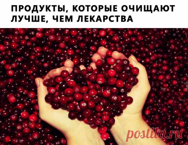 7 ПРОДУКТОВ, КОТОРЫЕ ОЧИЩАЮТ ОРГАНИЗМ ЛУЧШЕ, ЧЕМ ЛЮБЫЕ ЛЕКАРСТВА